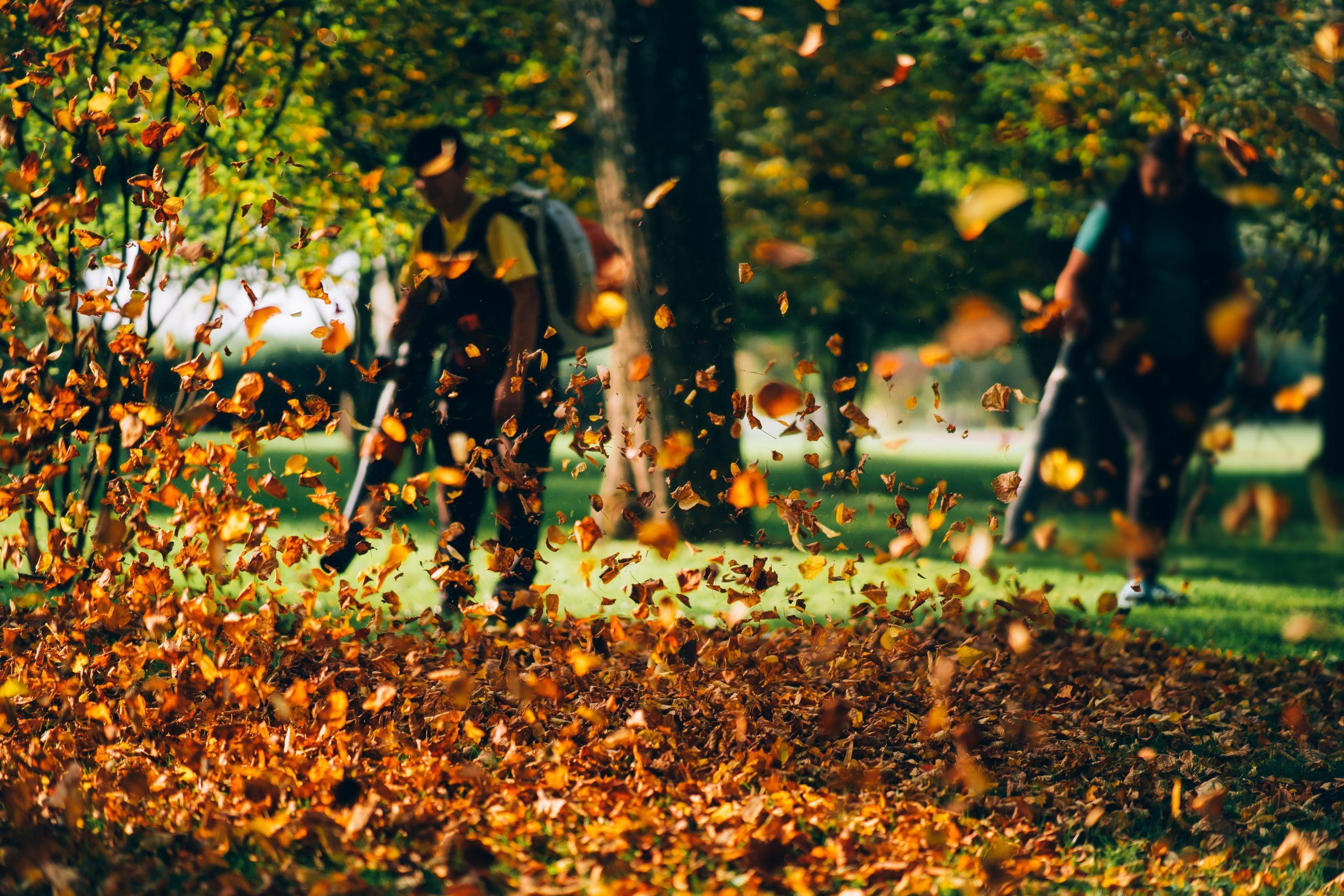 Blades Lawn Care